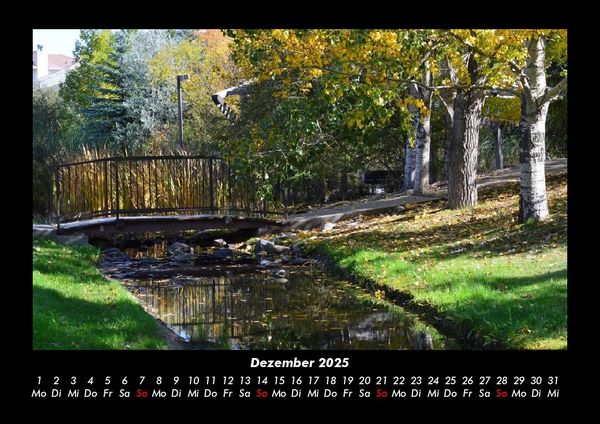 Produktbild: B&auml;ume 2025 Fotokalender DIN A3