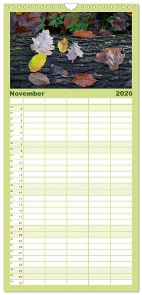 Produktbild: Familienplaner 2026 - Wald und Baum 2026 mit 5 Spalten (Wandkalender, 21 x 45 cm) CALVENDO
