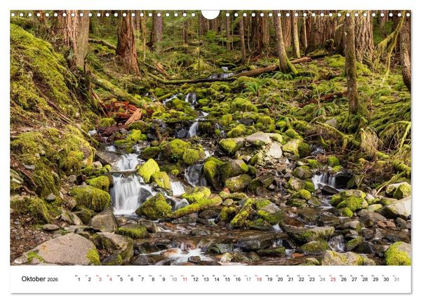 Produktbild: The Olympic National Park - Washington USA (Wandkalender 2026 DIN A3 quer), CALVENDO Monatskalender