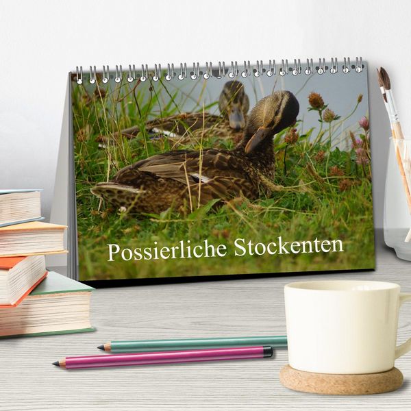 Produktbild: Possierliche Stockenten (Tischkalender 2026 DIN A5 quer), CALVENDO Monatskalender