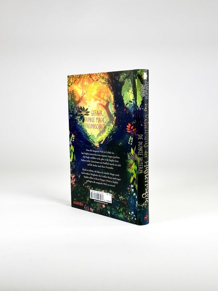 Produktbild: Das Geheimnis der Fl&uuml;stermagie (Band 3) &ndash; Die dunkle H&uuml;terin