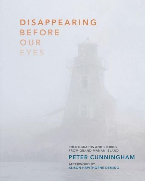 Produktbild: Disappearing Before Our Eyes