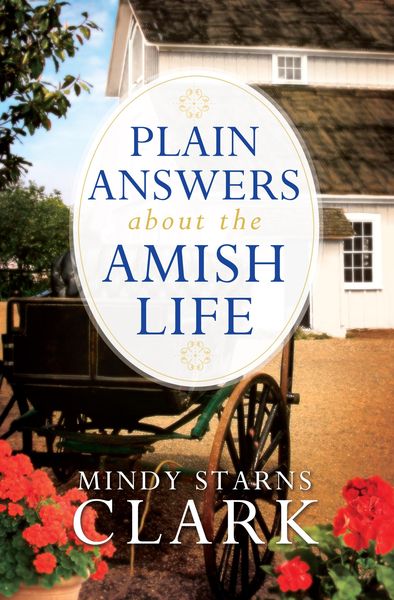 Produktbild: Plain Answers About the Amish Life