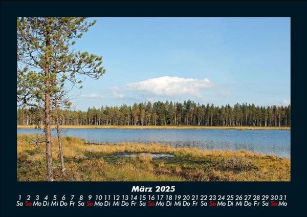 Produktbild: Waldzauber 2025 Fotokalender DIN A5