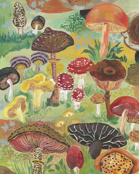 Produktbild: Nathalie L&eacute;t&eacute; Mushrooms 1,000-Piece Puzzle