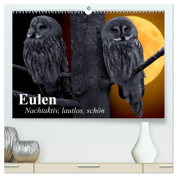 Produktbild: Eulen. Nachtaktiv, lautlos, sch&ouml;n (hochwertiger Premium Wandkalender 2026 DIN A2 quer), Kunstdruck in Hochglanz