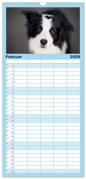 Produktbild: Familienplaner 2026 - H&uuml;tehunde - H&uuml;ter der Herzen mit 5 Spalten (Wandkalender, 21 x 45 cm) CALVENDO