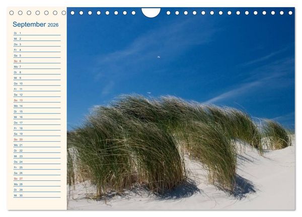 Produktbild: Urlaub auf Borkum (Wandkalender 2026 DIN A4 quer), CALVENDO Monatskalender