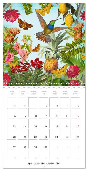 Produktbild: Lovely hummingbirds (Wall Calendar 2026 12 &times; 12 Inch) CALVENDO 12 Month Wall Calendar