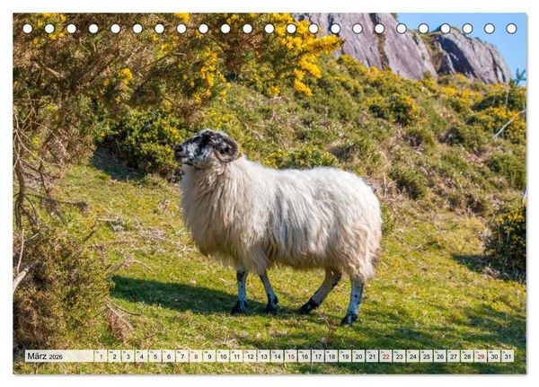 Produktbild: Kerry - Die gr&uuml;ne Perle Irlands (Tischkalender 2026 DIN A5 quer), CALVENDO Monatskalender