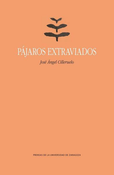 Produktbild: P&aacute;jaros extraviados