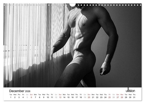Produktbild: Male Nude Art (Wall Calendar 2026 DIN A3 landscape), CALVENDO 12 Month Wall Calendar