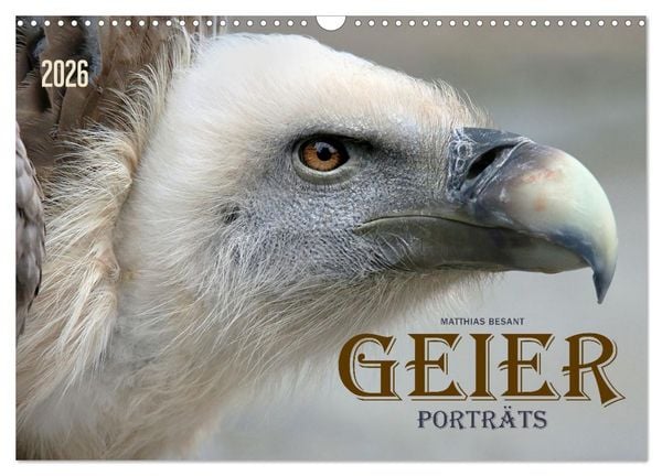 Produktbild: GEIERPORTR&Auml;TS (Wandkalender 2026 DIN A3 quer), CALVENDO Monatskalender
