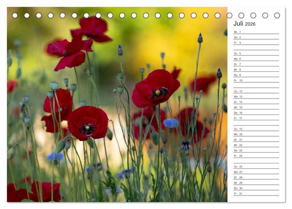 Produktbild: Blumenfreude Terminkalender (Tischkalender 2026 DIN A5 quer), CALVENDO Monatskalender
