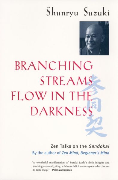 Produktbild: Branching Streams Flow in the Darkness