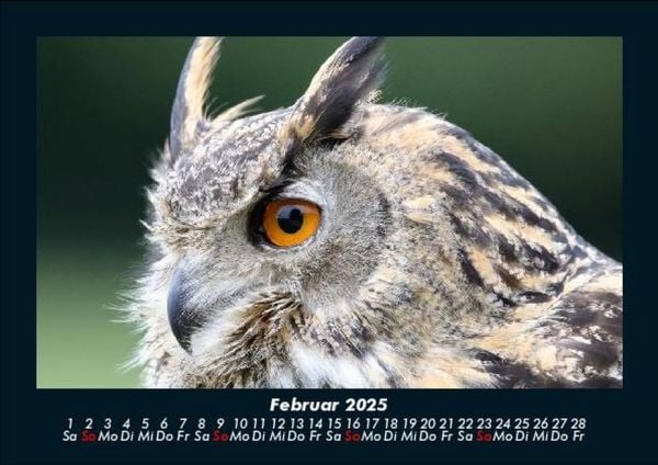 Produktbild: Vögel 2025 Fotokalender DIN A5