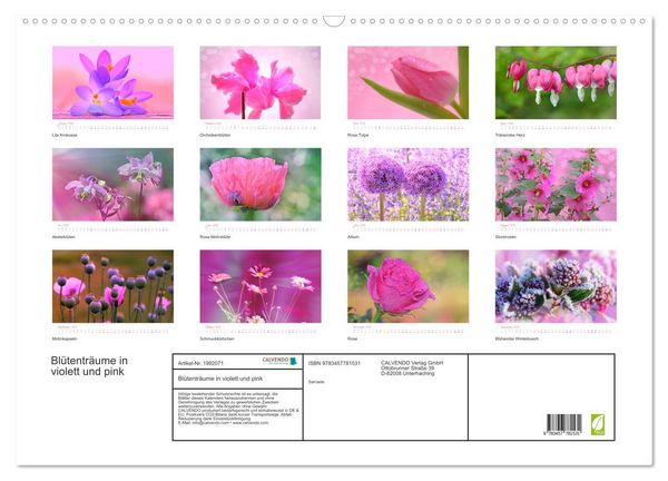 Produktbild: Bl&uuml;tentr&auml;ume in violett und pink (Wandkalender 2026 DIN A2 quer), CALVENDO Monatskalender