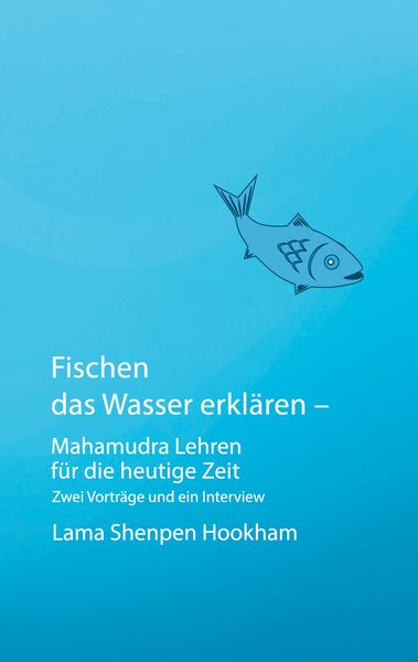 Produktbild: Fischen das Wasser erkl&auml;ren - Mahamudra Lehren f&uuml;r die heutige Zeit