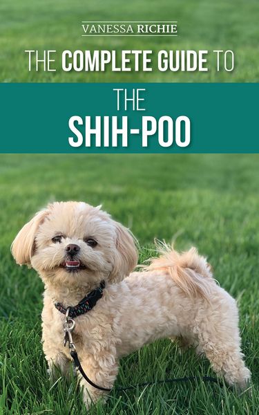 Produktbild: The Complete Guide to the Shih-Poo: Finding, Raising, Training, Feeding, Socializing, and Loving Your New Shih-Poo Puppy