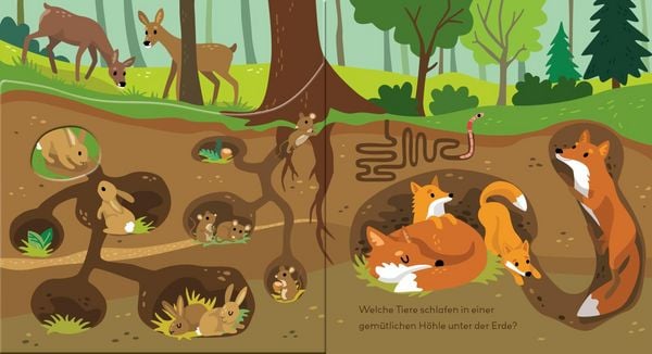 Produktbild: Baby Pixi (unkaputtbar) 178: Flippediflapp: Tiere im Wald