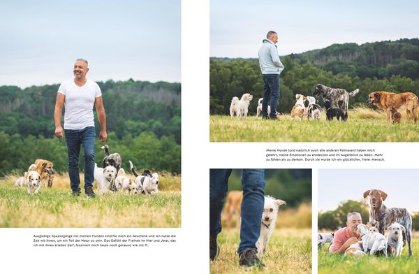 Seelenpartner Hund