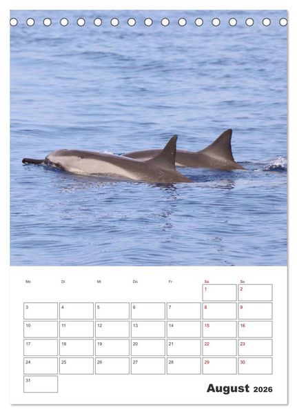 Produktbild: Hawaii - Reiseplaner (Tischkalender 2026 DIN A5 hoch), CALVENDO Monatskalender