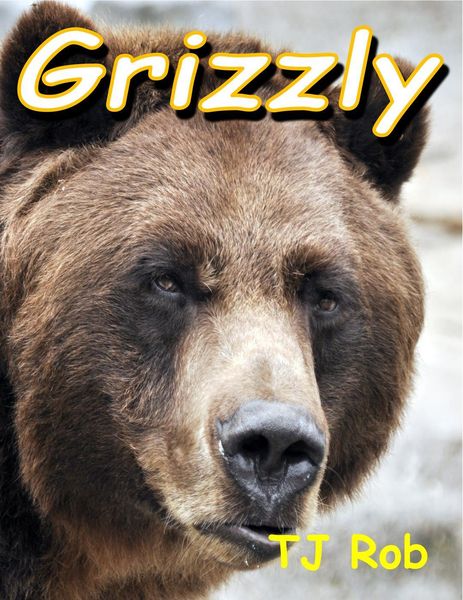 Produktbild: Grizzly (Discovering The World Around Us)