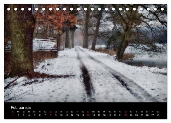 Produktbild: Waldkalender (Tischkalender 2026 DIN A5 quer), CALVENDO Monatskalender