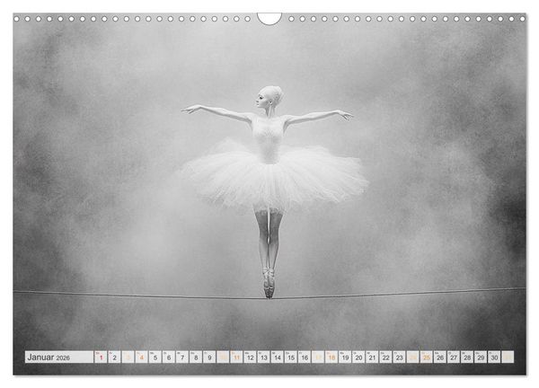 Produktbild: Im Pas de Deux mit der Stille (Wandkalender 2026 DIN A3 quer), CALVENDO Monatskalender