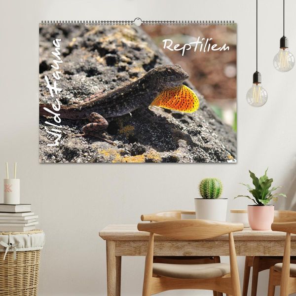 Produktbild: Wilde Fauna - Reptilien (Wandkalender 2026 DIN A2 quer), CALVENDO Monatskalender