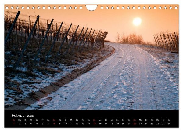 Produktbild: Weinberge im Remstal (Wandkalender 2026 DIN A4 quer), CALVENDO Monatskalender