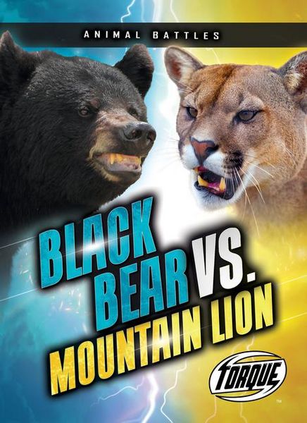 Produktbild: Black Bear vs. Mountain Lion