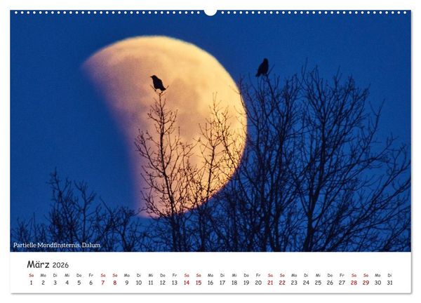 Produktbild: Emsland Impressionen (hochwertiger Premium Wandkalender 2026 DIN A2 quer), Kunstdruck in Hochglanz