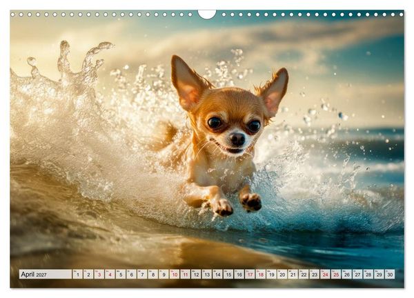 Produktbild: Niedliche Chihuahuas (Wandkalender 2027 DIN A3 quer), CALVENDO Monatskalender