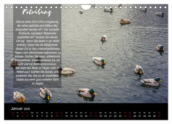 Produktbild: Die Sch&ouml;nheit der Natur - Naturfotografie-Kalender mit Foto- und Kreativ&uuml;bungen (Wandkalender 2026 DIN A4 quer), CALVENDO Monatskalender
