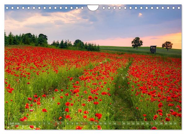 Produktbild: Chemnitz - Stadt und Natur (Wandkalender 2026 DIN A4 quer), CALVENDO Monatskalender