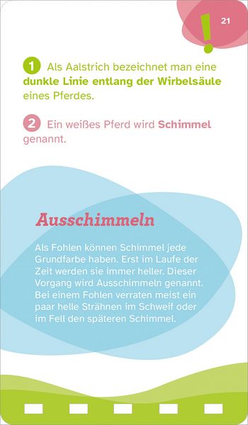 Produktbild: WAS IST WAS Quiz Pferde