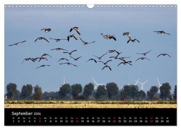 Produktbild: Schrei der Wildg&auml;nse (Wandkalender 2026 DIN A3 quer), CALVENDO Monatskalender
