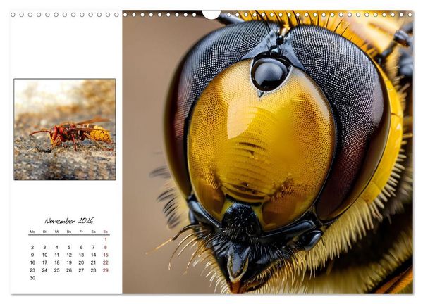 Produktbild: Facettenaugen - Meisterwerke der Natur (Wandkalender 2026 DIN A3 quer), CALVENDO Monatskalender