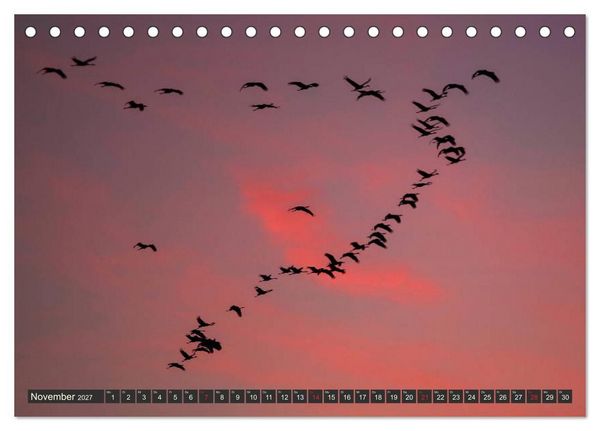 Produktbild: Leben am Naturpark um den D&uuml;mmer See (Tischkalender 2027 DIN A5 quer), CALVENDO Monatskalender
