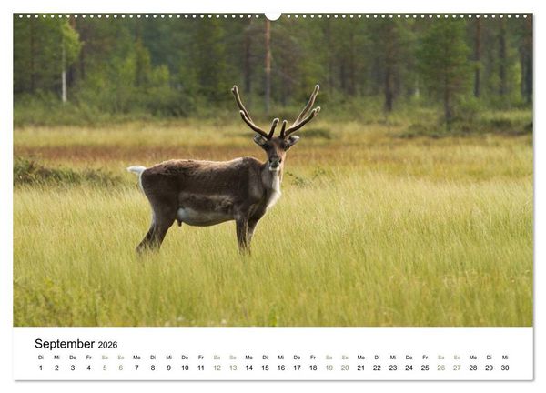 Produktbild: Einblick-Natur: Finnland nat&uuml;rlich (Wandkalender 2026 DIN A2 quer), CALVENDO Monatskalender