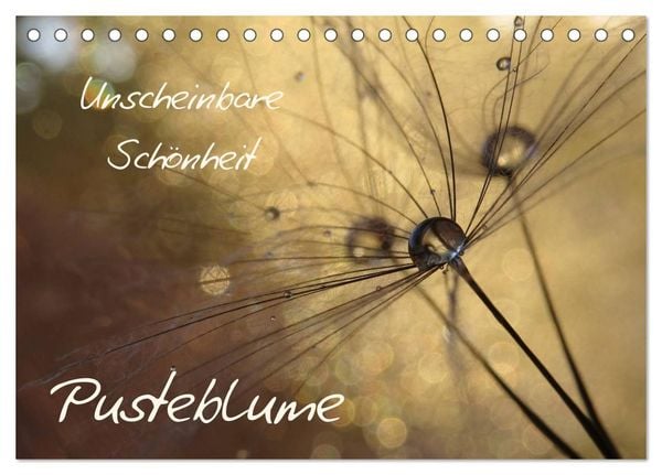 Produktbild: Unscheinbare Sch&ouml;nheit - Pusteblume (Tischkalender 2026 DIN A5 quer), CALVENDO Monatskalender