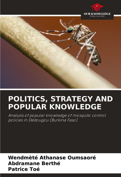 Produktbild: Politics, Strategy and Popular Knowledge