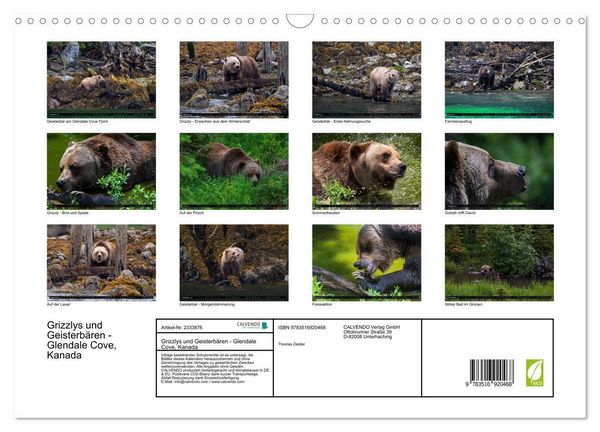 Produktbild: Grizzlys und Geisterb&auml;ren - Glendale Cove, Kanada (Wandkalender 2027 DIN A3 quer), CALVENDO Monatskalender