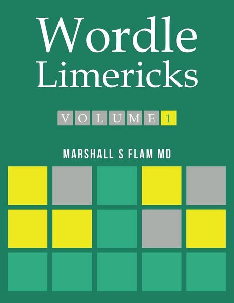 Produktbild: Wordle Limericks