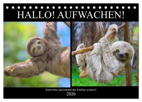 Produktbild: Hallo! Aufwachen! Kann bitte mal jemand das Faultier wecken? (Tischkalender 2026 DIN A5 quer), CALVENDO Monatskalender
