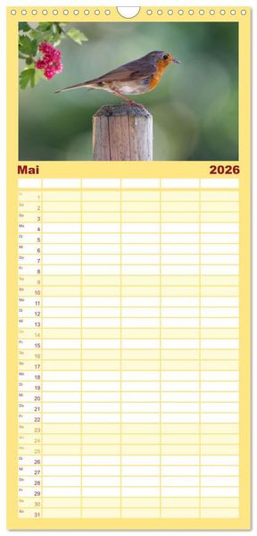 Produktbild: Familienplaner 2026 - Rotkehlchen - Fotografiert von Ostfriesenfotografie mit 5 Spalten (Wandkalender, 21 x 45 cm) CALVENDO