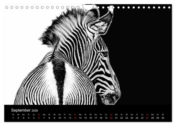 Produktbild: Tierisches (Wandkalender 2026 DIN A4 quer), CALVENDO Monatskalender
