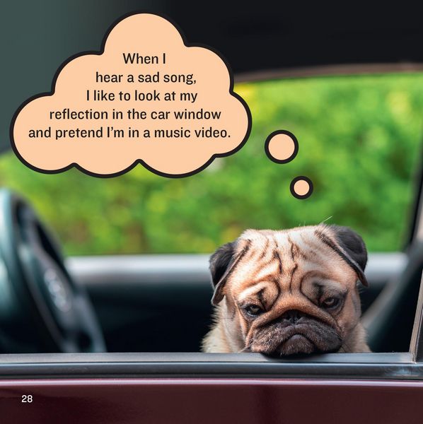 Produktbild: Bandara, P: Existential Dogs