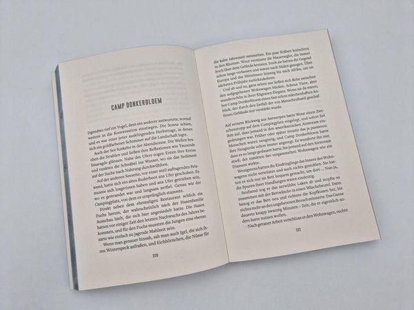 Produktbild: Die Schlucht